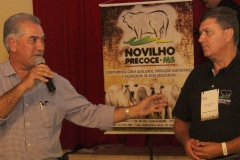 Novilho Precoce em Bonito (106)