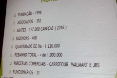 Novilho Precoce em Bonito (60)