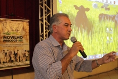 Novilho Precoce em Bonito (97)