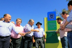 Governador em Costa Rica-ponte (13)