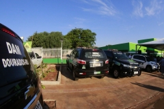Delegacia da Mulher (338)