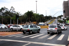Rotatória (291)
