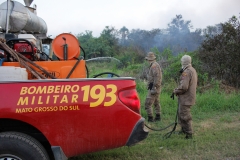 Fogo no Pantanal-Foto-Chico Ribeiro (121)