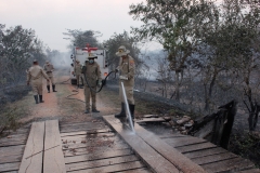 Fogo no Pantanal-Foto-Chico Ribeiro (133)