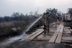 Fogo no Pantanal-Foto-Chico Ribeiro (157)