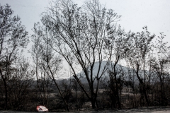 Fogo no Pantanal-Foto-Chico Ribeiro (192)