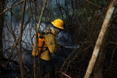 Fogo no Pantanal-Foto-Chico Ribeiro (29)