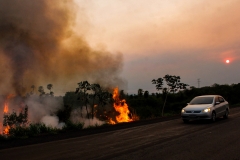 Fogo Pantanal-BR 262-Foto-Chico Ribeiro (133)