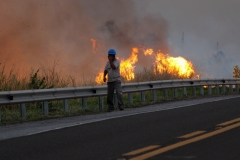 Fogo Pantanal-BR 262-Foto-Chico Ribeiro (217)