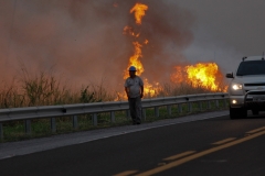 Fogo Pantanal-BR 262-Foto-Chico Ribeiro (234)