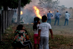 Fogo Pantanal-BR 262-Foto-Chico Ribeiro (253)