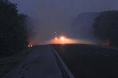 Fogo Pantanal-BR 262-Foto-Chico Ribeiro (277)