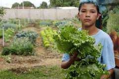 Projeto Agricultura Urbana-Foto-Chico Ribeiro (2)