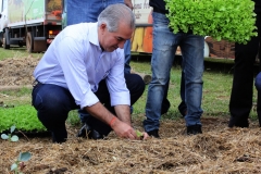 Projeto Agricultura Urbana-Foto-Chico Ribeiro (265)