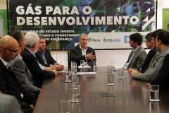 MS Gás e Fibria (134)