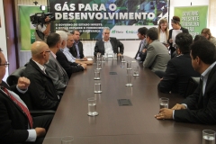 MS Gás e Fibria (27)