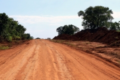 Estrada parque de Piraputanga - Foto Edemir Rodrigues (31)