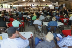 Leilão Novo Horizonte no Pantanal - Foto Edemir Rodrigues (16)