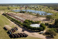 Leilão Novo Horizonte no Pantanal - Foto Edemir Rodrigues