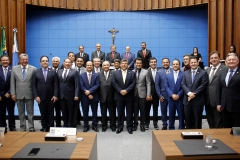 Posse deputados 2019 (239)