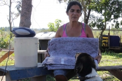 Corguinho-Cobertor (519)