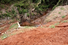 Ponte-bairro (107)
