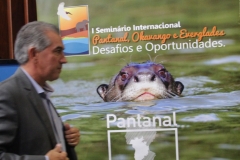 Seminário Internacional Pantanal (231)