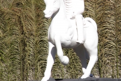 Nioaque (315)