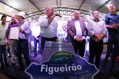 Município de Figueirão (104)