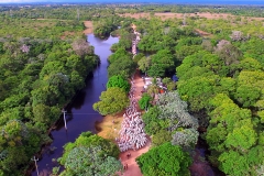 Retirada de bovinos da cheia do Pantanal - Foto Edemir Rodrigues