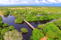 Retirada de bovinos da cheia do Pantanal - Foto Edemir Rodrigues