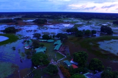 Retirada de bovinos da cheia do Pantanal - Foto Edemir RodriguesPG