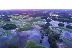 Retirada de bovinos da cheia do Pantanal - Foto Edemir Rodrigues