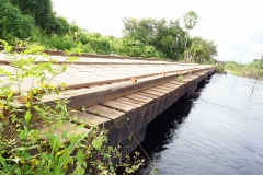 Retirada de bovinos da cheia do Pantanal - Foto Edemir Rodrigues