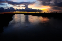 Retirada de bovinos da cheia do Pantanal - Foto Edemir Rodrigues