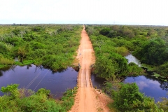 Retirada de bovinos da cheia do Pantanal - Foto Edemir Rodrigues