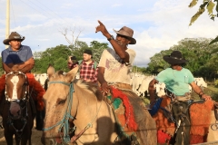 Cheia no Panatanal - Foto Edemir Rodrigues (39)