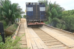 Cheia no Panatanal - Foto Edemir Rodrigues (48)