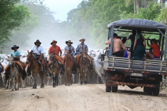 Cheia no Panatanal - Foto Edemir Rodrigues (70)