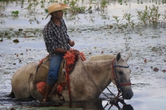 Cheia no Panatanal - Foto Edemir Rodrigues (94)