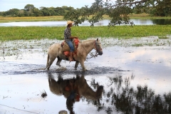 Cheia no Panatanal - Foto Edemir Rodrigues (96)