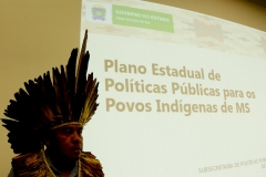 Lideranças Indigenas de MS (152)