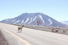RILA (7)