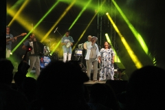 Show de Martinho da Vila