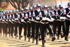 Troca de Comando (233)