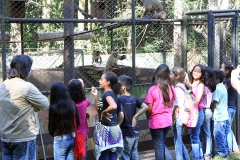 Trilha no Parque Estadual do Prosa - Foto Edemir Rodrigues (10)