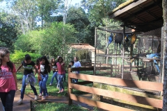 Trilha no Parque Estadual do Prosa - Foto Edemir Rodrigues (11)