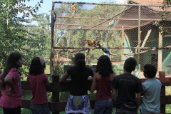 Trilha no Parque Estadual do Prosa - Foto Edemir Rodrigues (12)