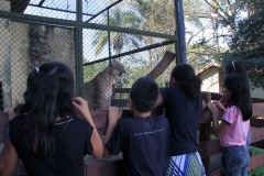 Trilha no Parque Estadual do Prosa - Foto Edemir Rodrigues (14)