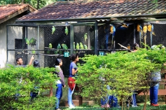 Trilha no Parque Estadual do Prosa - Foto Edemir Rodrigues (15)